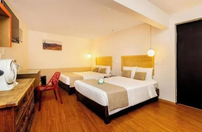 Casa Anzures Thematic 3*