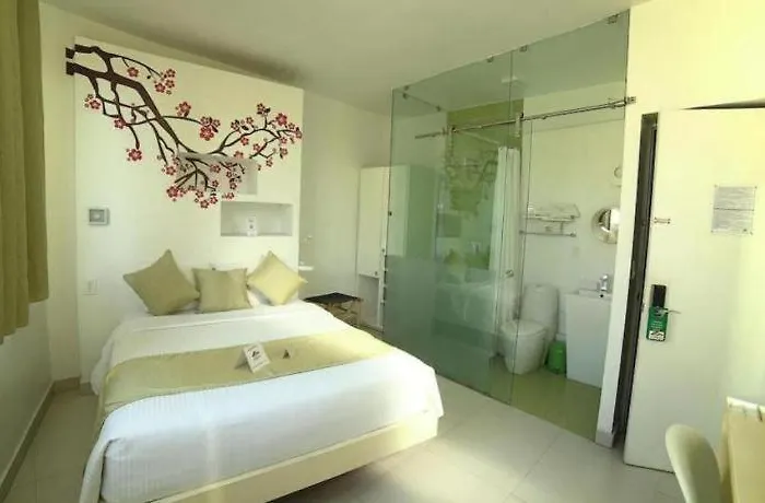 Hotel Casa Anzures Thematic 3*