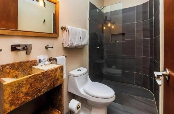 Hotel Casa Anzures Thematic 3*