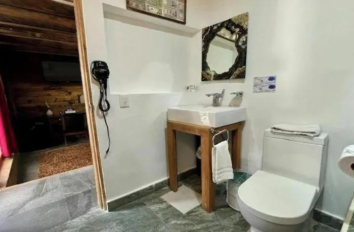 Hotel Casa Anzures Thematic 3*